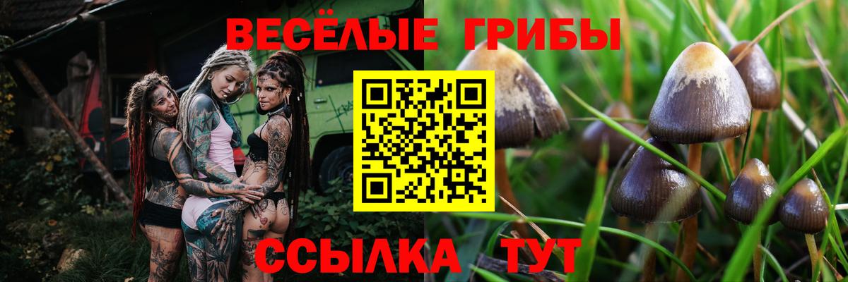 Ижевск  Галлюциногенные грибы Magic Shrooms  Вход с VPN 